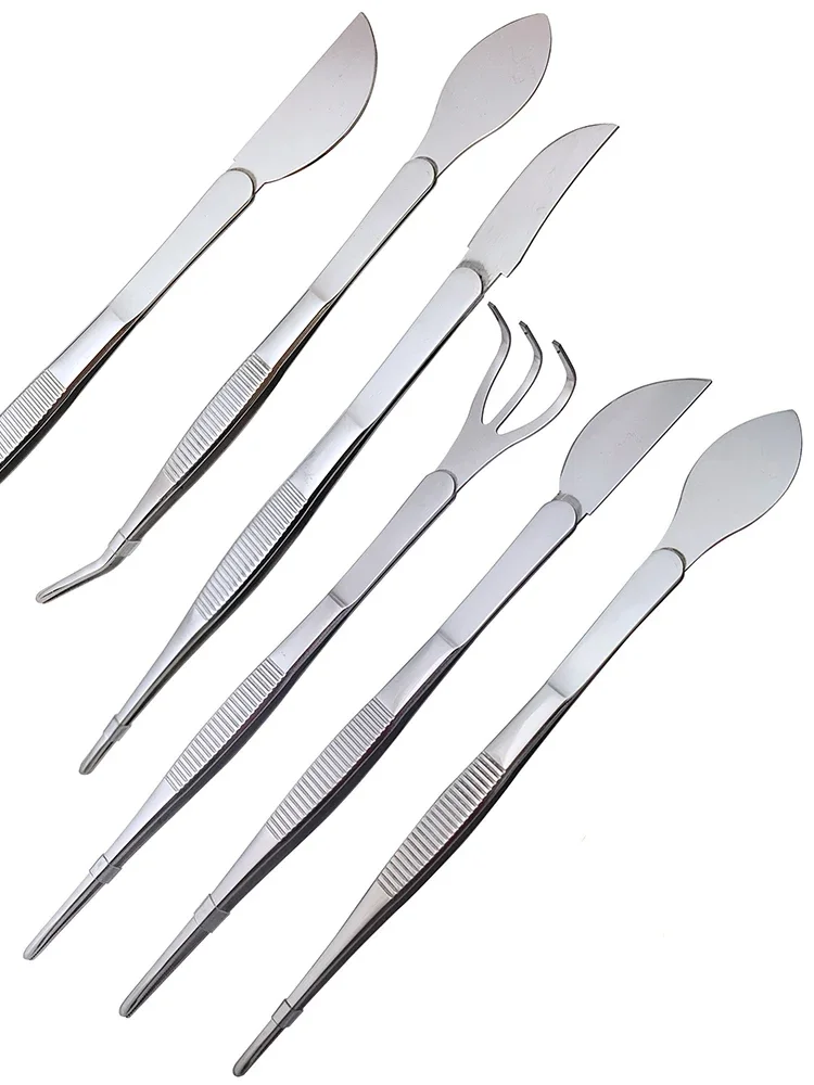 Scissors Stainless Craft - 1pc 2-in-1 304 Stainless Steel Root