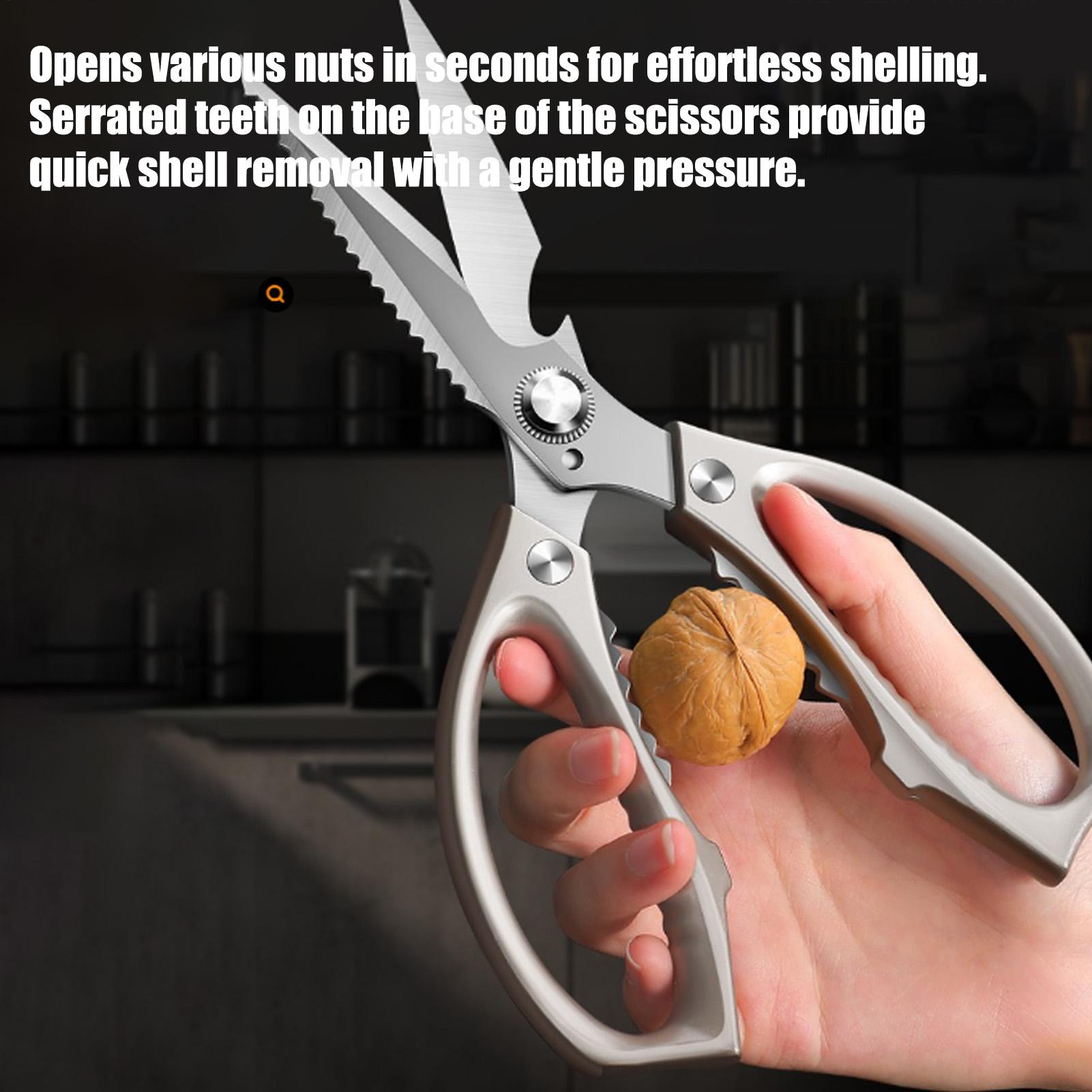 Food Scissors Stainless Steel  - Scissors Stainless Craft บทวิจารณ์และราคา